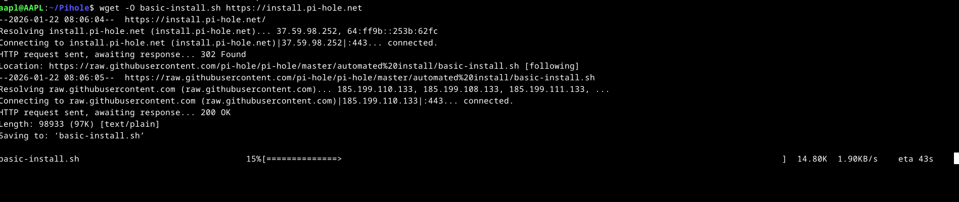 downloading pihole